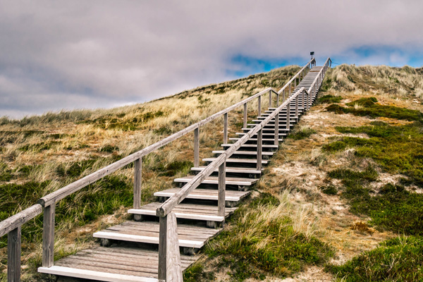 Holzpfad führt auf einen bewachsenen Hügel hoch