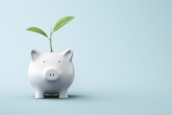 weißes Keramik-Sparschwein mit einer herauswachsenden Pflanze auf hellblauem Hintergrund